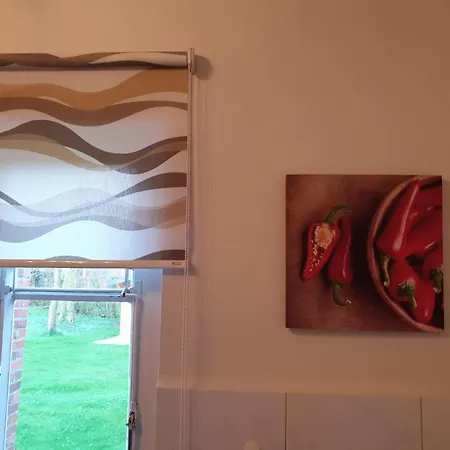 Ferienhaus-elli Borkum