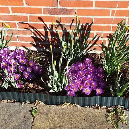 Ferienhaus-elli Vakantiehuis